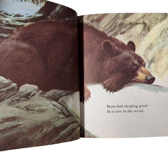 Where Is The Bear? 1st Ed A Betty Hubka Little Golden Book 1967 Golden Press LGB - Picture 6 of 16